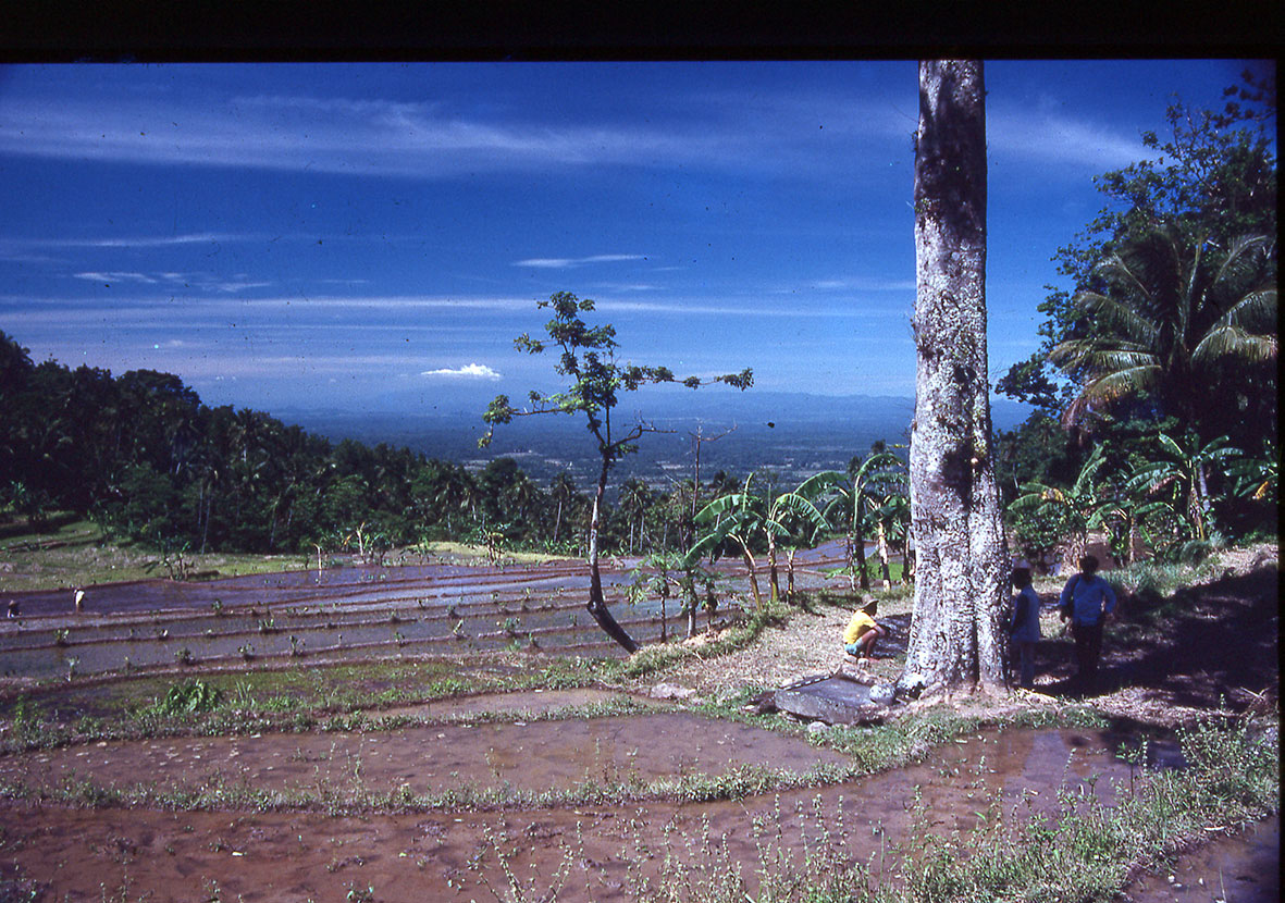 South Banten Shining Stone, view looking south.jpg